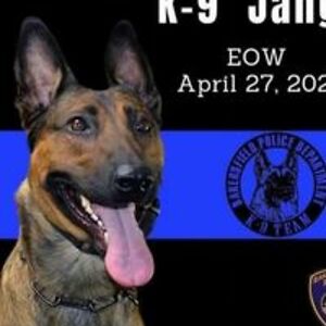 ramirezshannon30 avatar