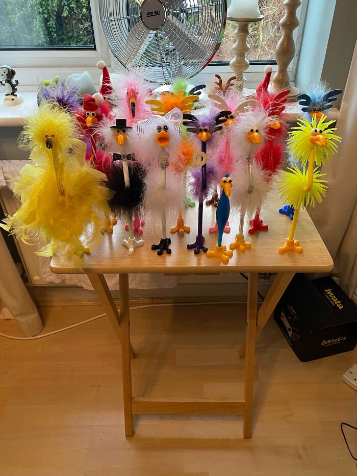Weird Christmas Tradition: Parents Buy Me These Bird Pens Every Year Without Fail. Here’s My Collection After About 10 Years. I’m A 26-Year-Old Male By The Way