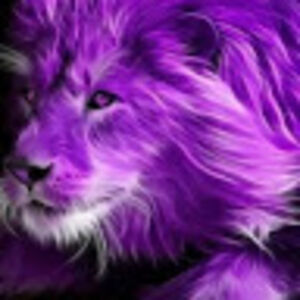 michellebell_1 avatar