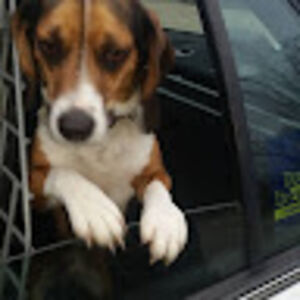 j_charleseastvold avatar