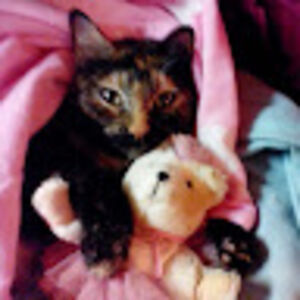 starroliveria avatar