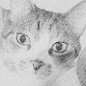 jenniferwertz avatar