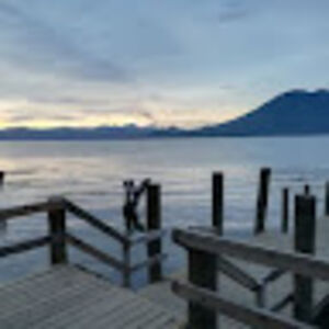 federicadecarlo avatar