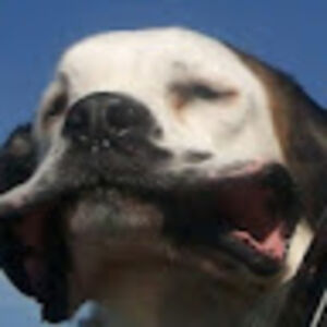 privateinformation avatar