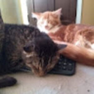 kristinbergman avatar