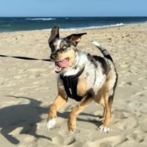 heart_broken1986 avatar