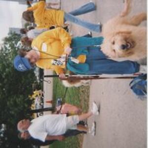 virtuallibrary avatar