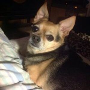 1rarepoisonq1 avatar