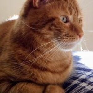 david_11_coleman avatar