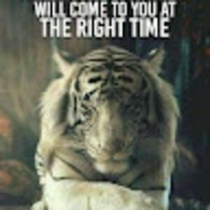 sharonhutchison avatar