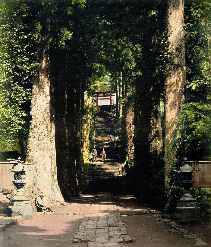 Hakone, Japan, A Tree-Lined Avenue Ending In A Flight Of Stairs To A Temple, Photographed By Felice Beato In Ca. 1868