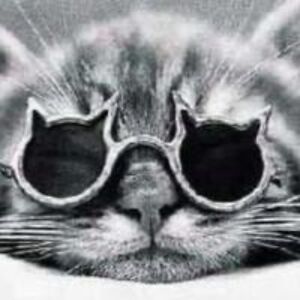 lisetteverkade avatar