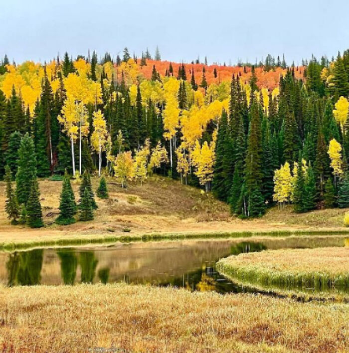Colorful Colorado---The World Is Quiet Here.