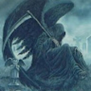 nathanwhelihan avatar