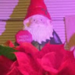 ashleynicole_1 avatar