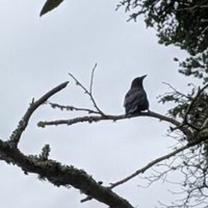 shelbymonson08 avatar