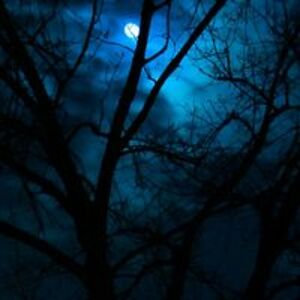 nearfallenangel avatar