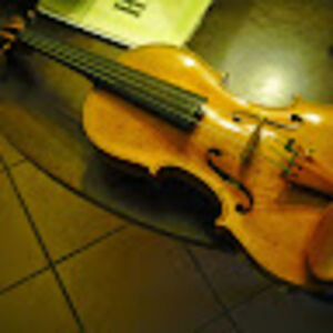 samuelzavadlav avatar