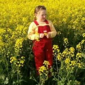 diamondsahara avatar