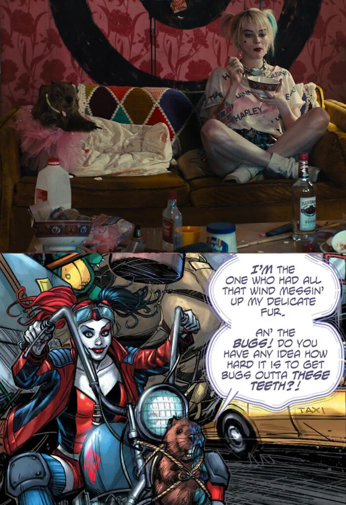 In Birds Of Prey (2020), Harley Owns A Stuffed Beaver. This Is A Reference To The 2014 Harley Quinn Comic, Where She Owned A Similar Beaver Named Bernie