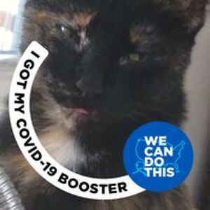 ronda_evansco avatar