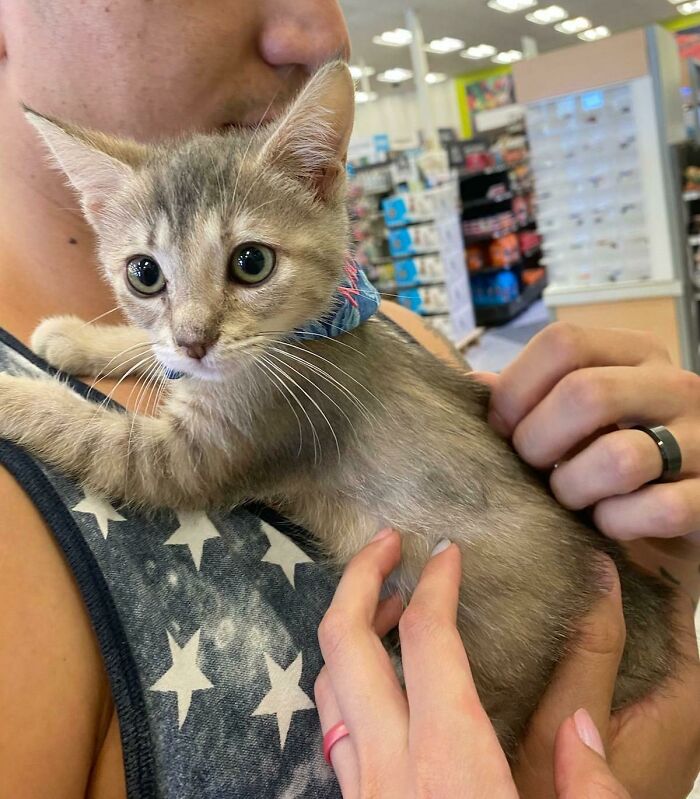 My Wife And I Adopted This Smol Criminal Today