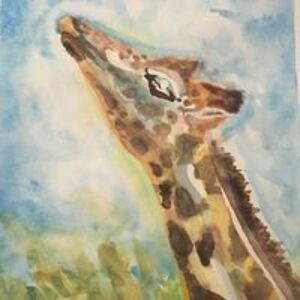 giraffecake avatar