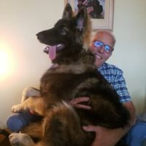 peterruggiero avatar