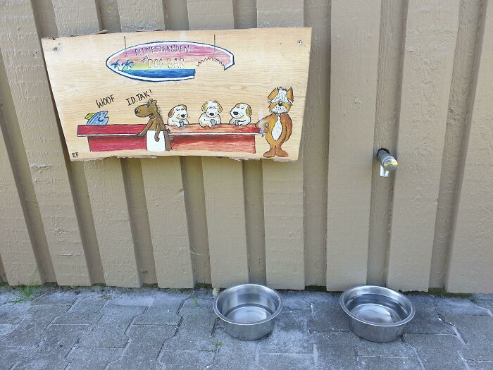 This Beach Bar Has A Dog Bar