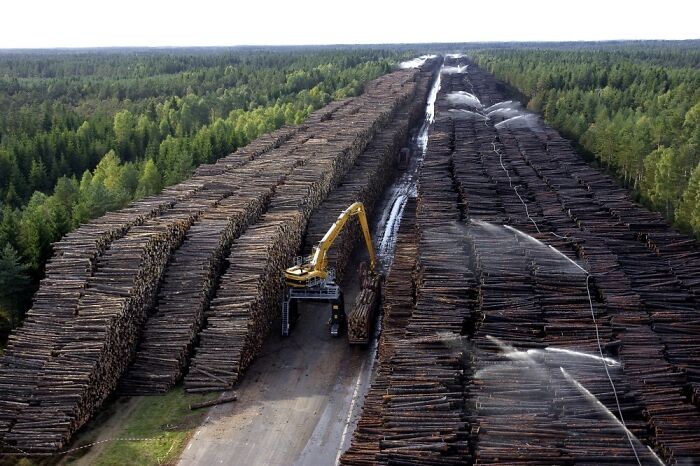  Sweden Is Home To The World's Largest Storage Of Wood