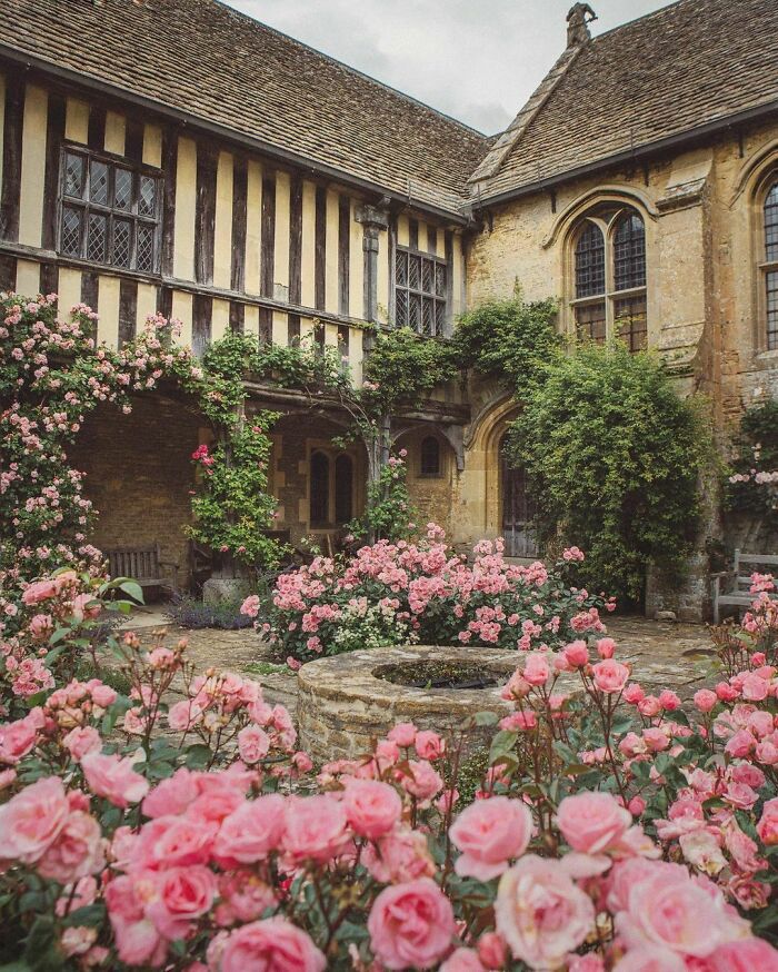 Enchanted Well Surrounded By Roses