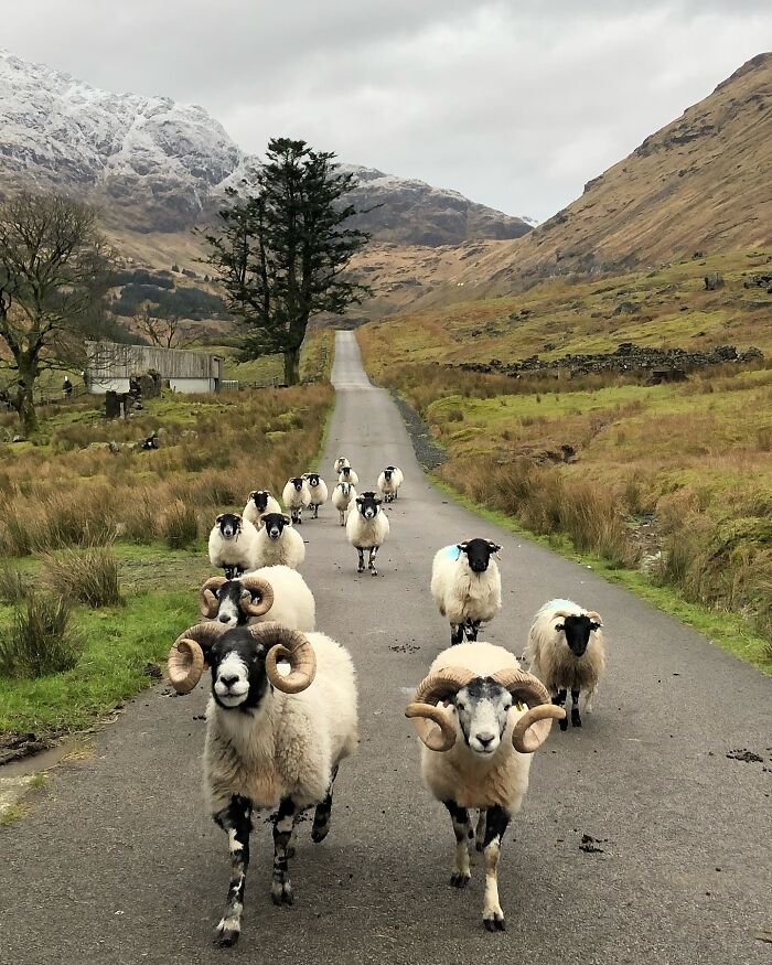The Delegates Of The Highlands Have Came To Greet Us