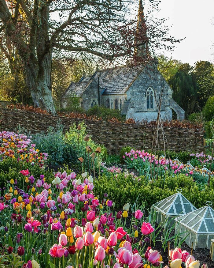 Imagine Rabbits Having Tea Time In The Bright Garden