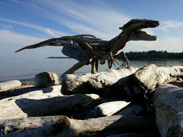 Alguien hizo un velociraptor con madera de deriva en una playa local
