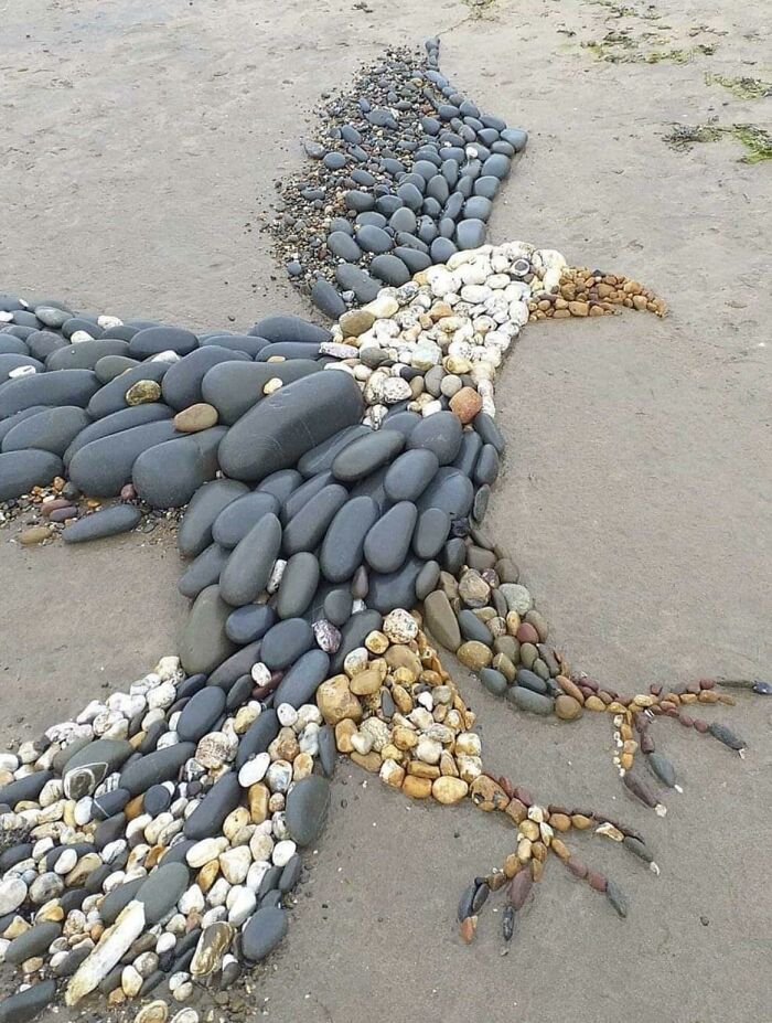 Someone Made This Amazing Eagle Out Of Stones On A Beach In Devon, UK