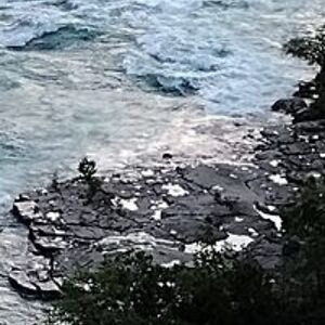 david_stamour avatar