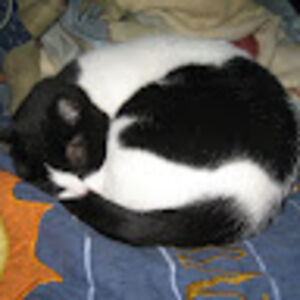 helenedwards_1 avatar