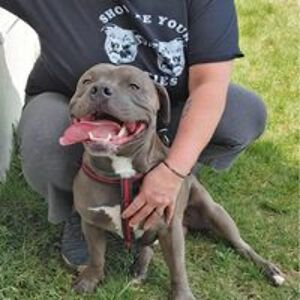 kimberleyjylha avatar