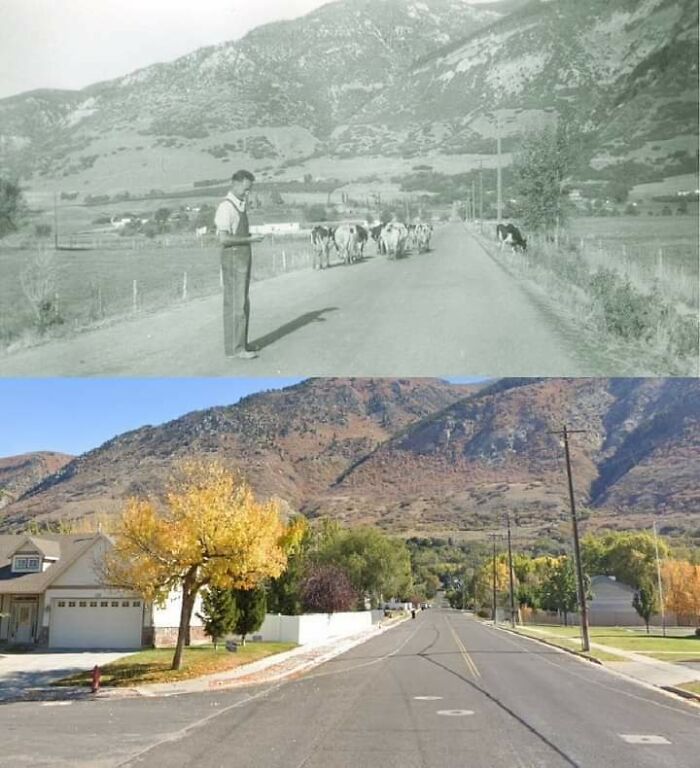 1921-2020 Ogden, Utah
