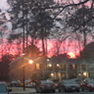 nadineroberts avatar