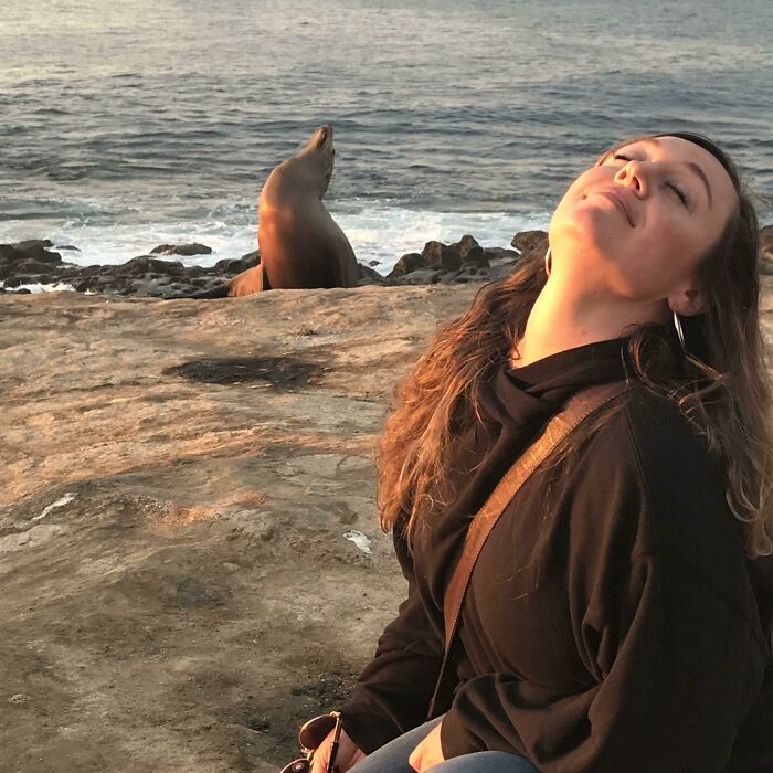 Sometimes You Just Need To Sit In The Sun And Look Fabulous. This Sea Lion Gets It