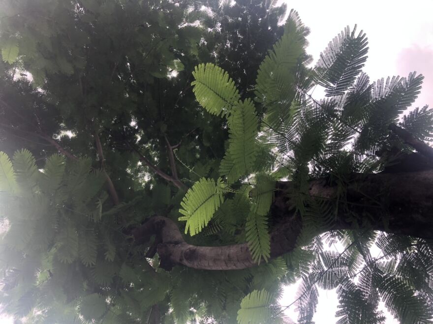 Tall And Intimidating