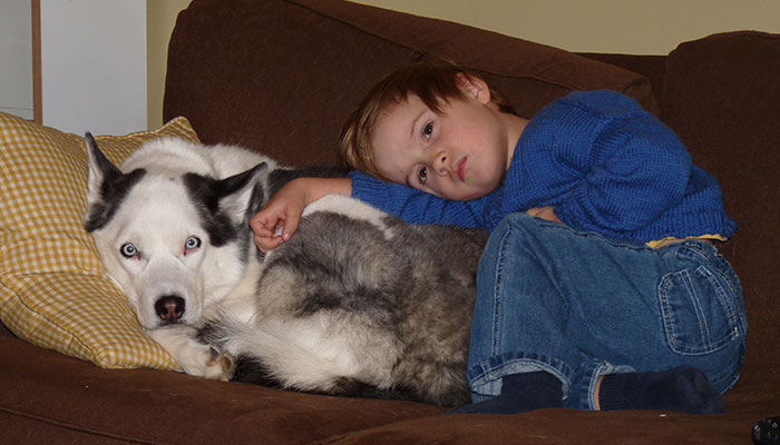 Every Private Tenant In UK To Get Legal Right To Keep A Pet In “Biggest Shake-Up Of The Private Rented Sector In 30 Years” Every Private Tenant In UK To Get Legal Right To Keep A Pet In “Biggest Shake-Up Of The Private Rented Sector In 30 Years”