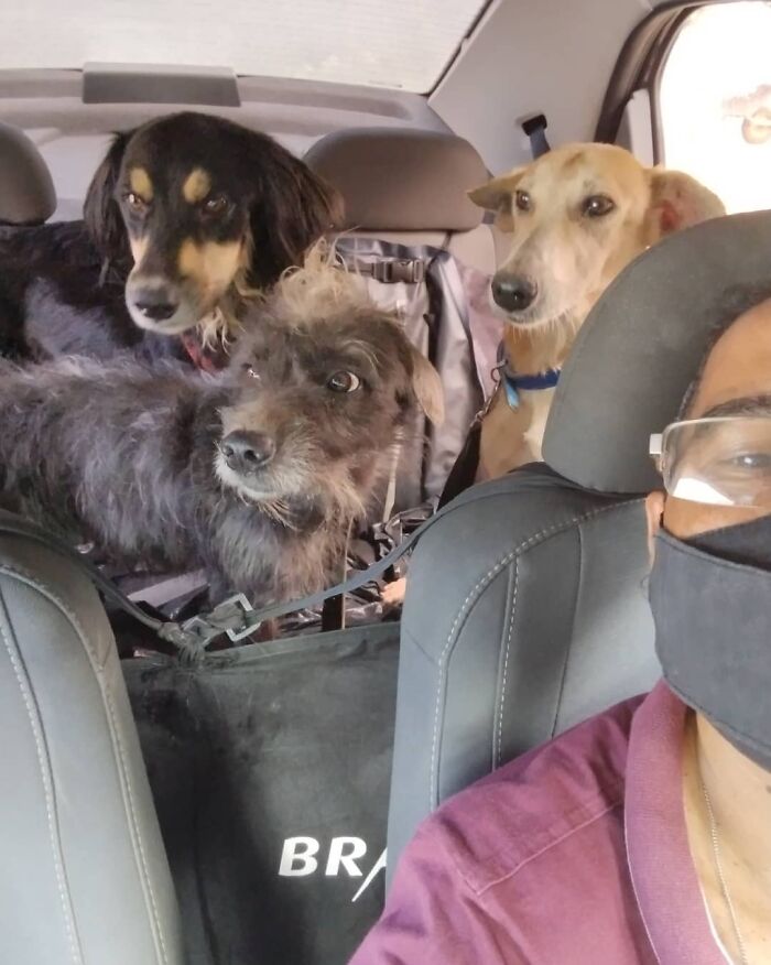 Meet Hamilton, The Driver Who Takes Selfies With His Animal Passengers (40 Pics)