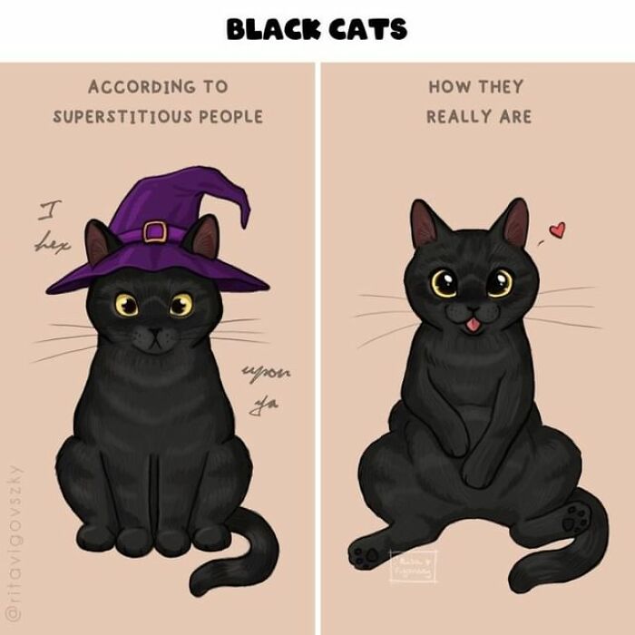 Artist Shows Everyday Life With A Cat Summarized In Adorable Comics (69 New Pics)