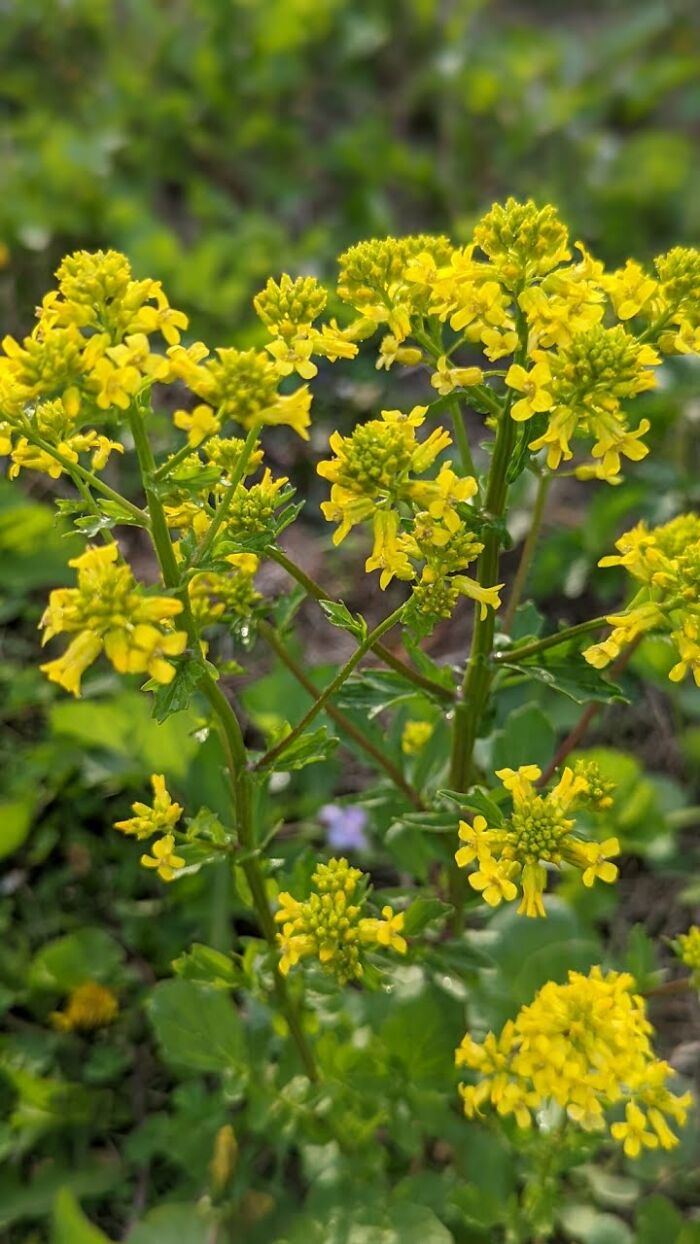 Some Amateur Photography