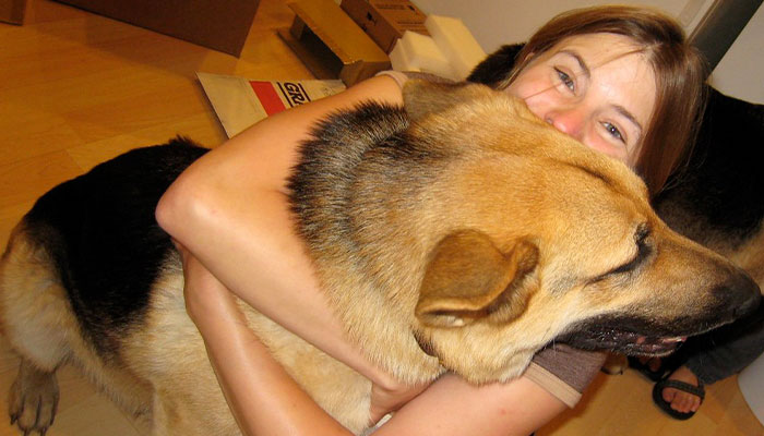 Every Private Tenant In UK To Get Legal Right To Keep A Pet In “Biggest Shake-Up Of The Private Rented Sector In 30 Years” Every Private Tenant In UK To Get Legal Right To Keep A Pet In “Biggest Shake-Up Of The Private Rented Sector In 30 Years”