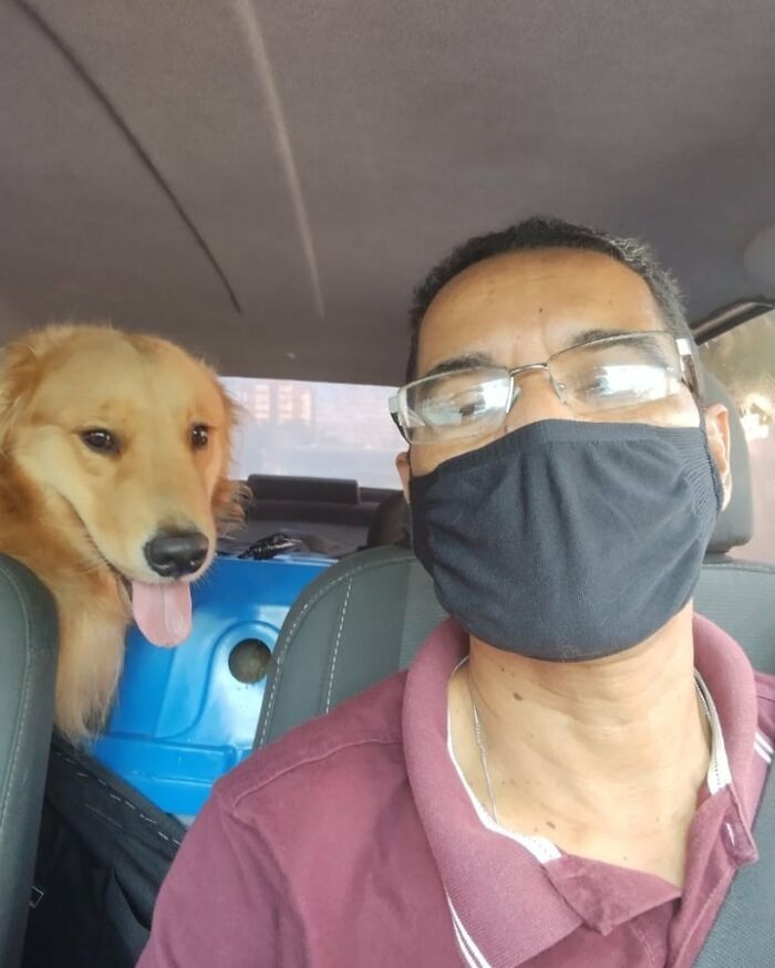 Meet Hamilton, The Driver Who Takes Selfies With His Animal Passengers (40 Pics)