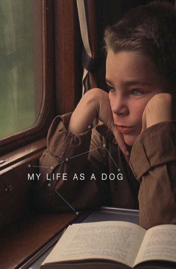 My Life As A Dog (1985)
