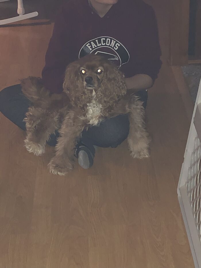 She Looks Like A Tarantula!